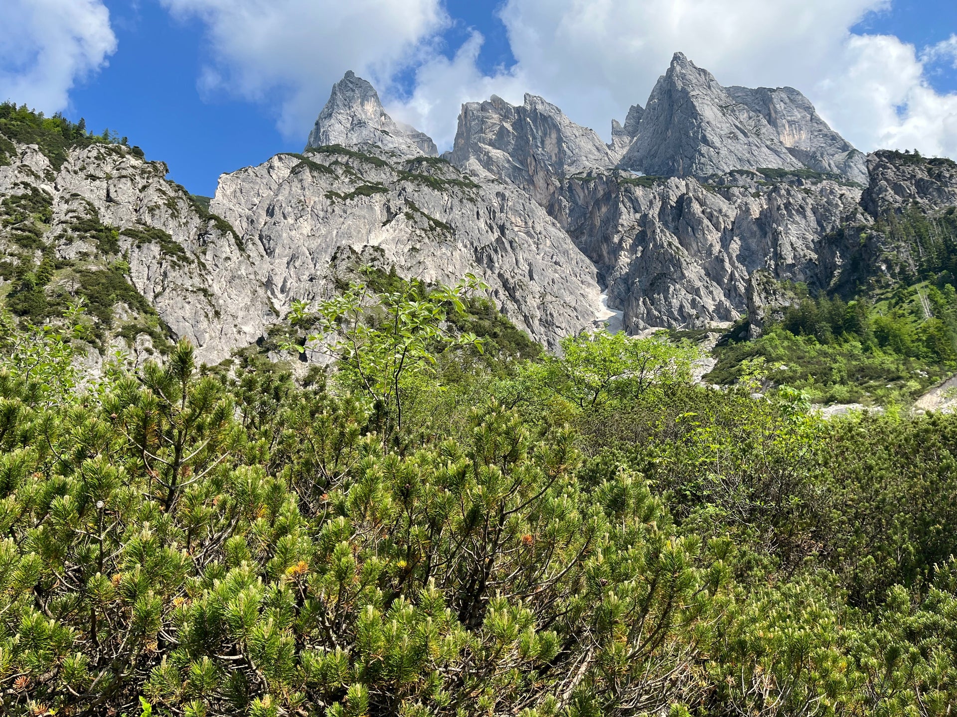 Entdecke die natürliche Schönheit: Die Vorteile und vielfältigen Anwendungsmöglichkeiten von Naturkosmetik