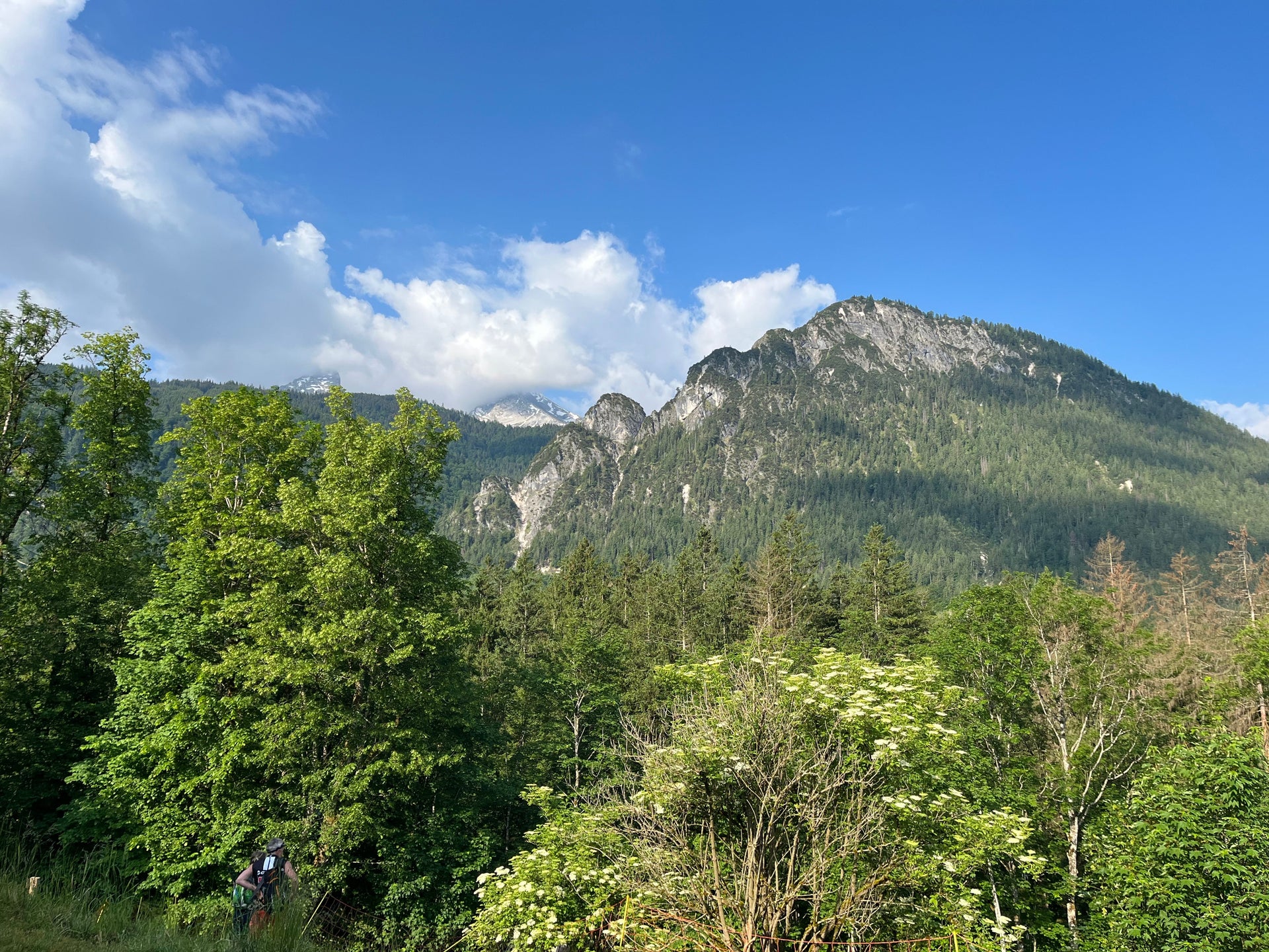 Nachhaltige Produkte und ihr Handel: Eine Chance für eine grünere Zukunft