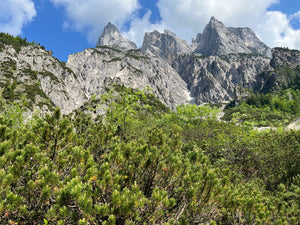 Entdecke die natürliche Schönheit: Die Vorteile und vielfältigen Anwendungsmöglichkeiten von Naturkosmetik