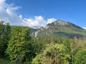 Nachhaltige Produkte und ihr Handel: Eine Chance für eine grünere Zukunft