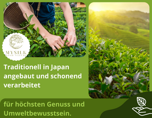 Die faszinierende Welt des Matcha Tees – Entdecken Sie die gesundheitlichen Vorteile und Tradition von echtem japanischem Matcha
