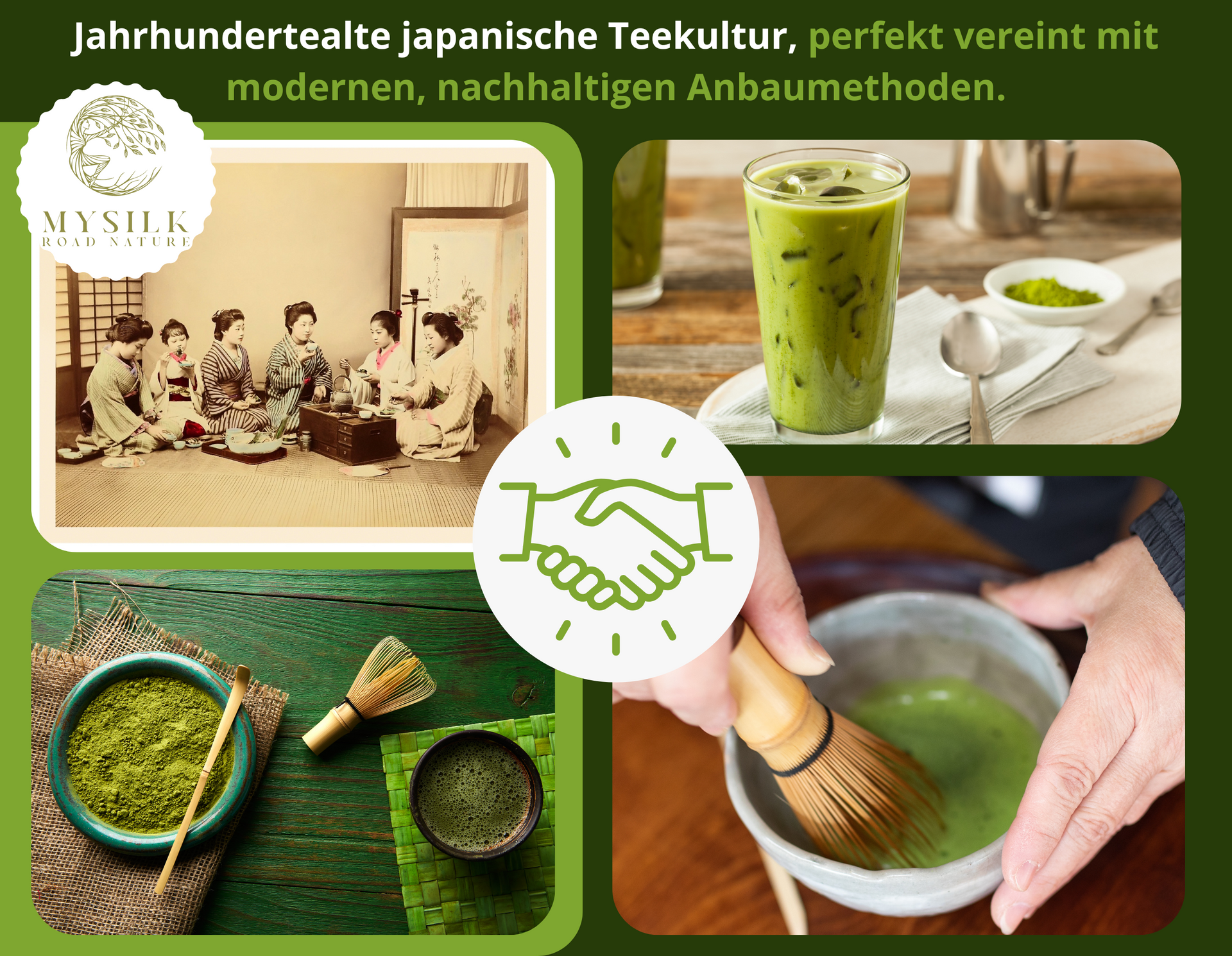 Saemidori Matcha: Was die Sorte besonders macht