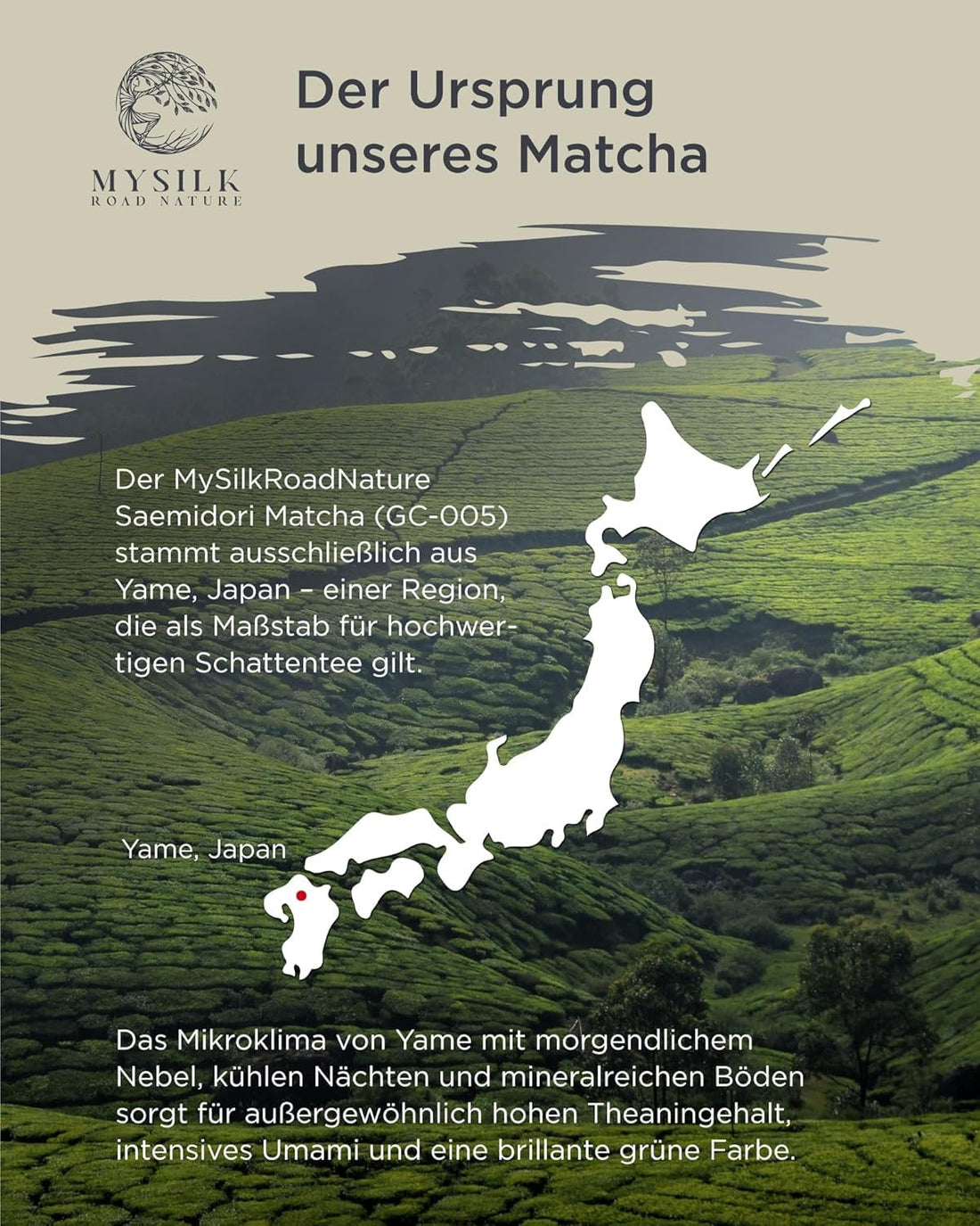 Matcha Starter – Saemidori 35g + Culinary 100g