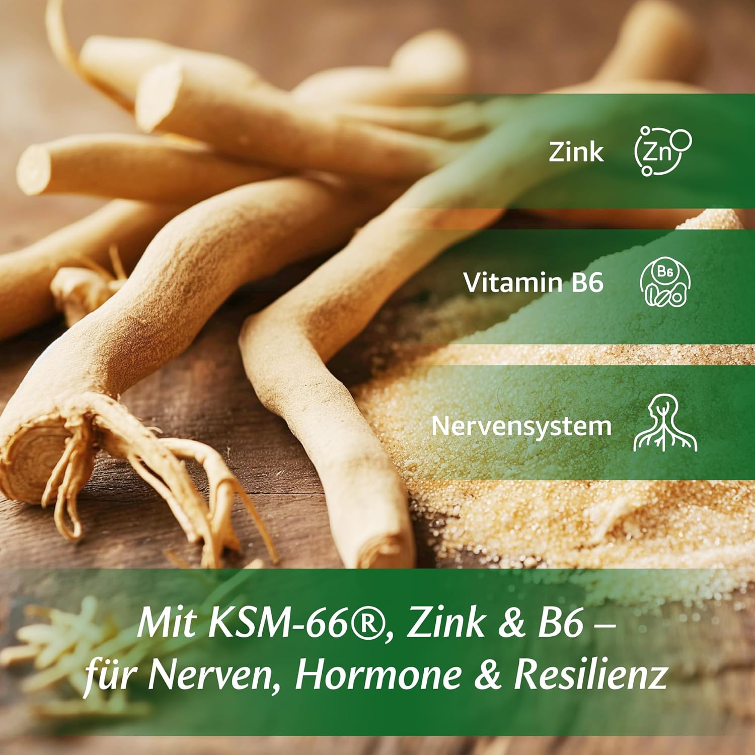 AshwaCore Ashwagandha KSM-66 600 mg mit Zink und B6 – Produktansicht 7