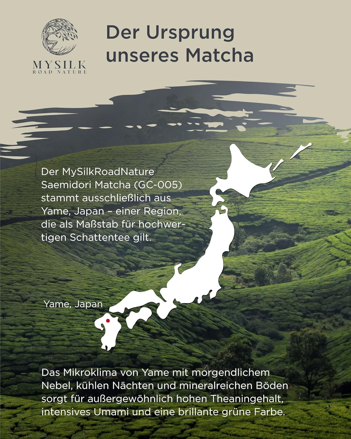 Saemidori Matcha Pulver 90g – Ceremonial Grade, Single Cultivar, First Harvest aus Yame, Japan | für Matcha Latte & Tee