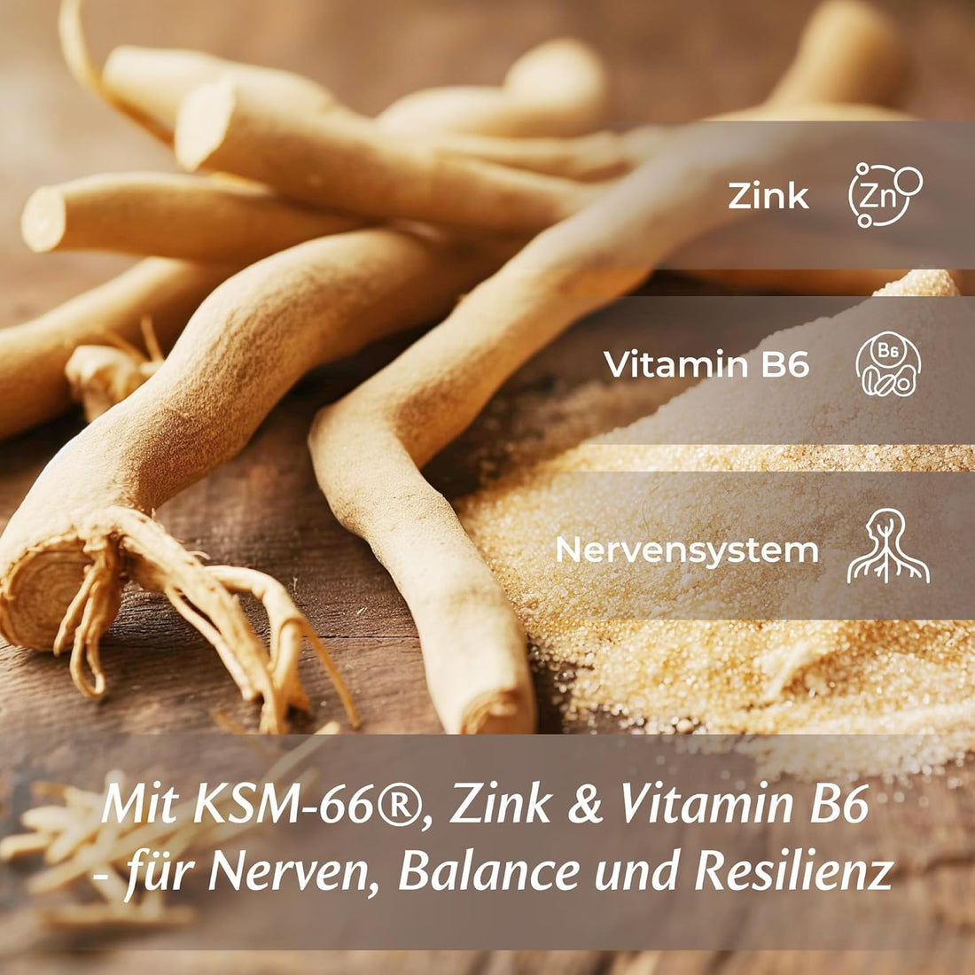 Lion's Mane & Ashwagandha Set – LionsCore™ + AshwaCore